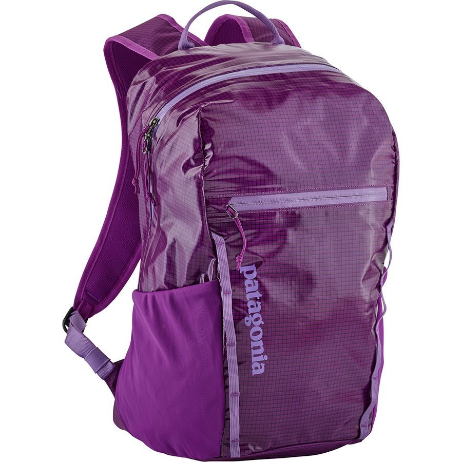 Patagonia Lightweight Black Hole 26L Backpack
