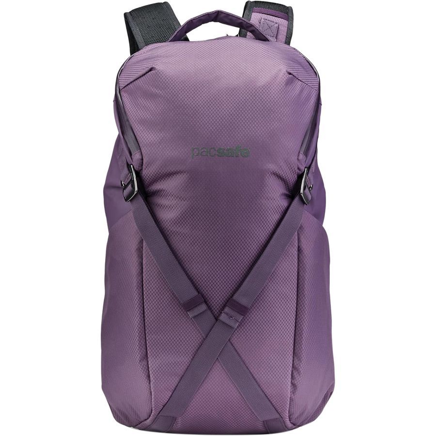 Pacsafe Venturesafe X 24L Backpack | Backcountry.com