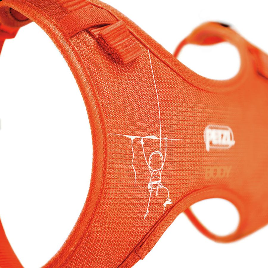 orange petzl harness