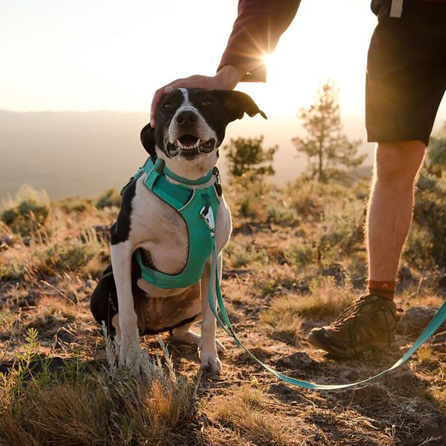 Ruffwear Front Range Harness