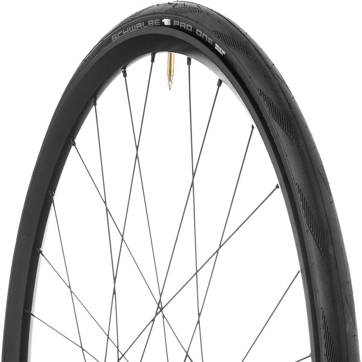 schwalbe pro one 650b