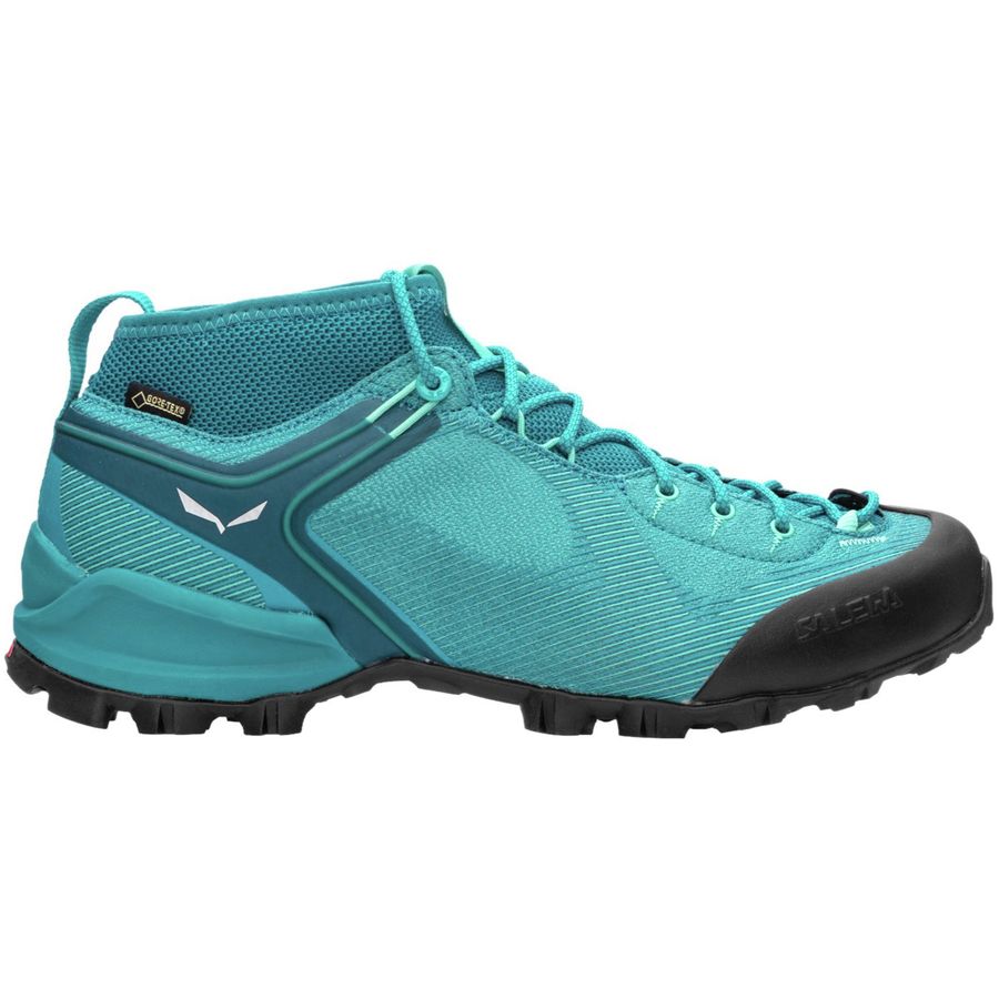 Alpenviolet GTX Hiking Shoe - Women's