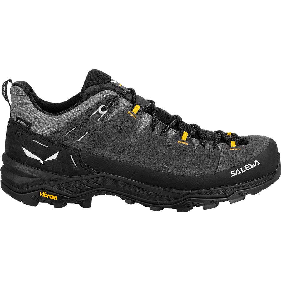 Alp Trainer 2 GTX Hiking Shoe - Men's