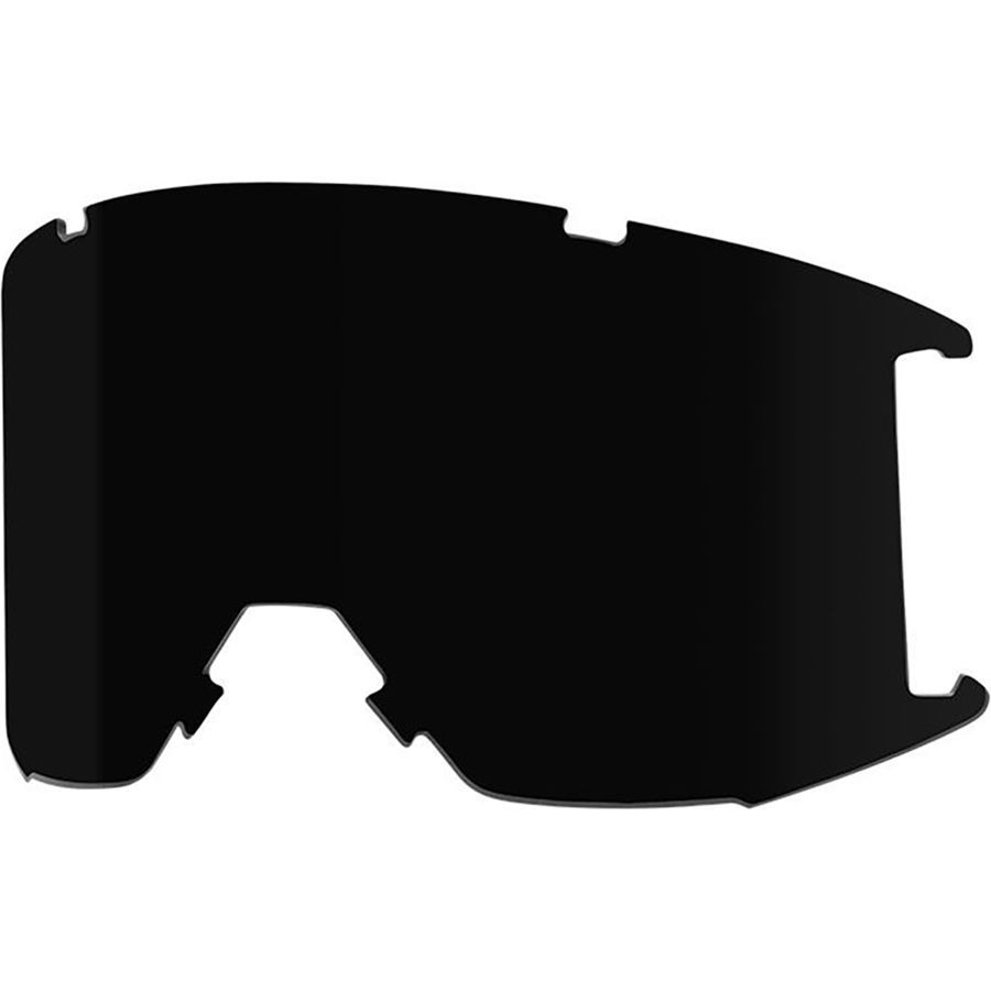 Smith Squad Goggles Replacement Lens Ski