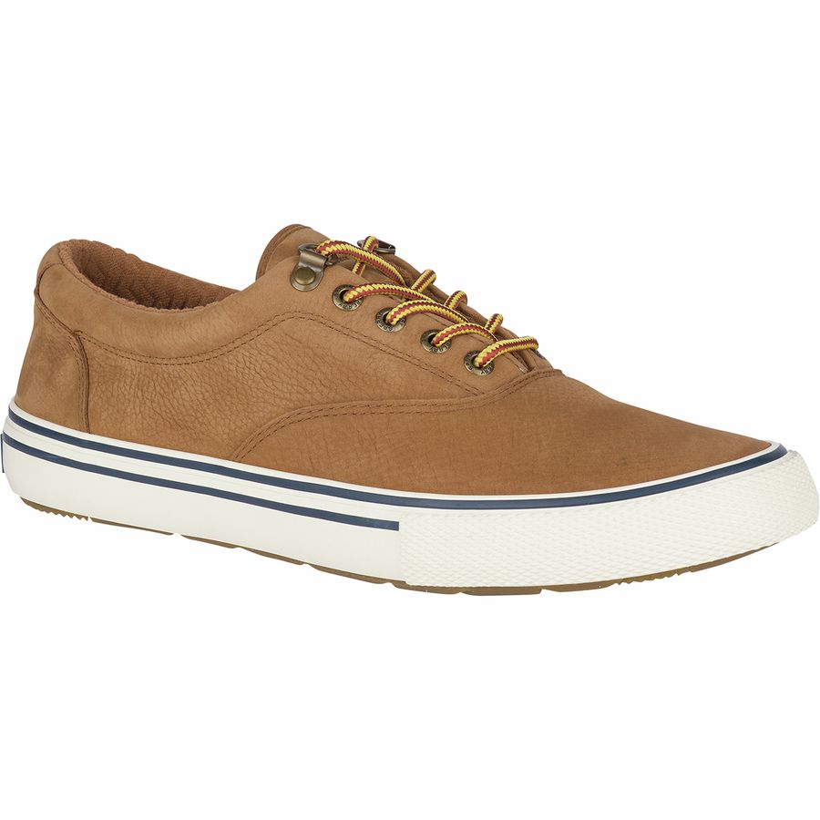 Sperry Top-Sider Striper II Storm CVO Waterproof Leather Shoe - Men's ...