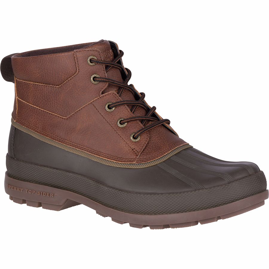 sperry cold bay chukka