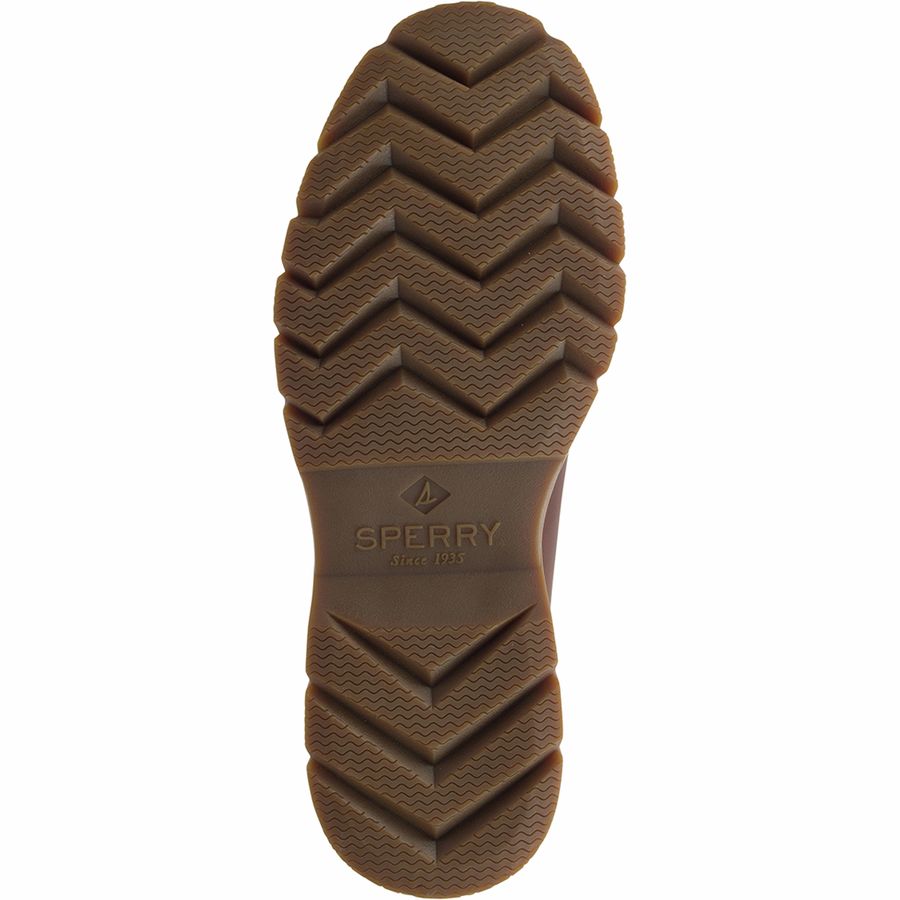 sperry top sider chukka