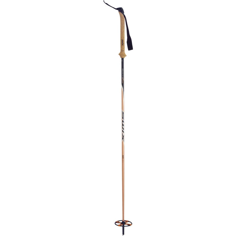 Swix Mountain Advanced Carbon Composite Ski Pole Ski
