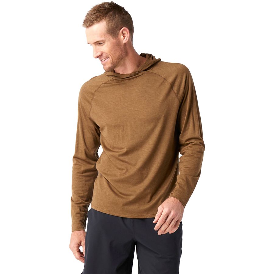 merino sport 150 hoodie