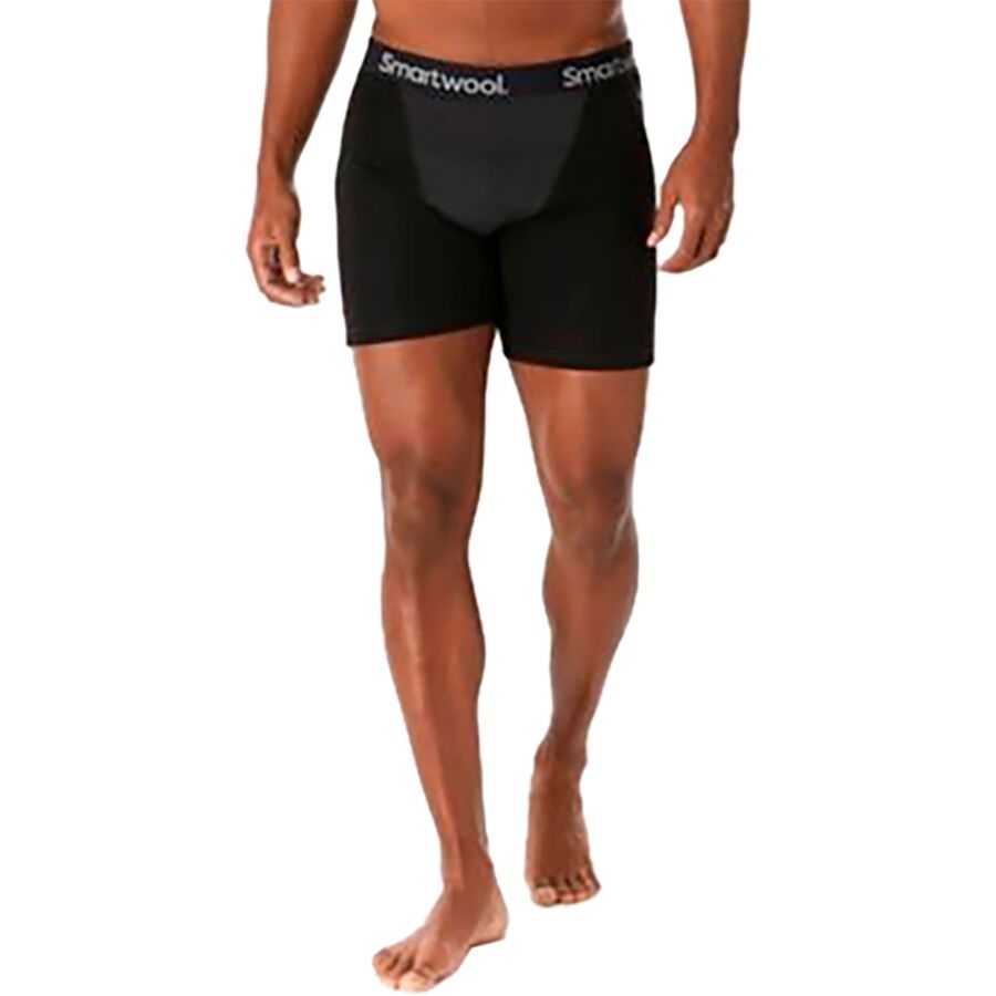Smartwool Merino Sport 250 Wind Boxer Brief Men's Clothing