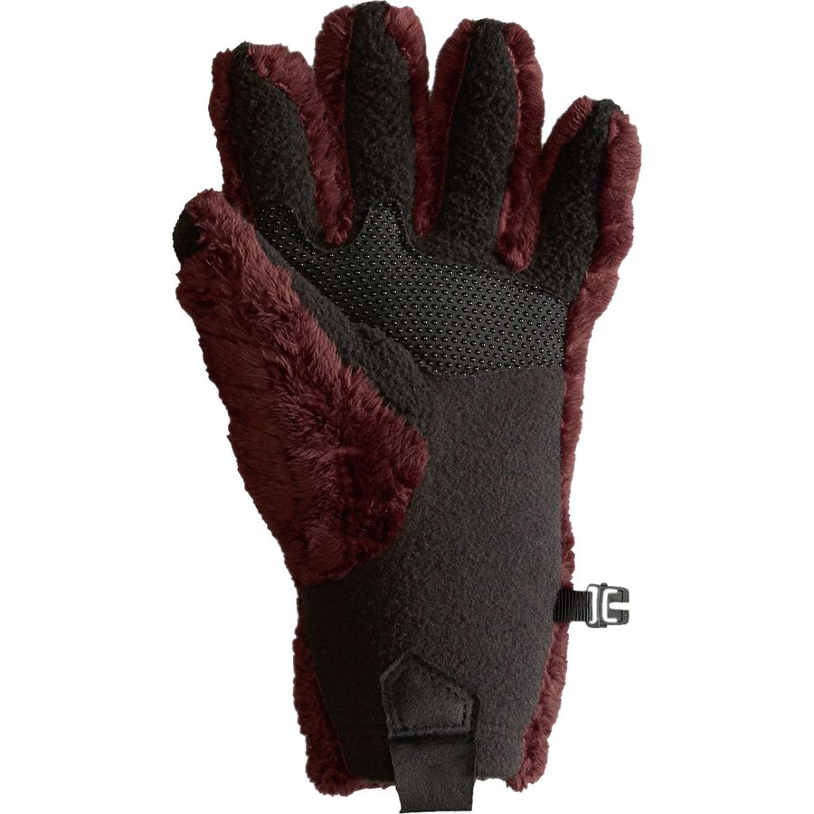 The North Face Denali Thermal Etip Glove Women's