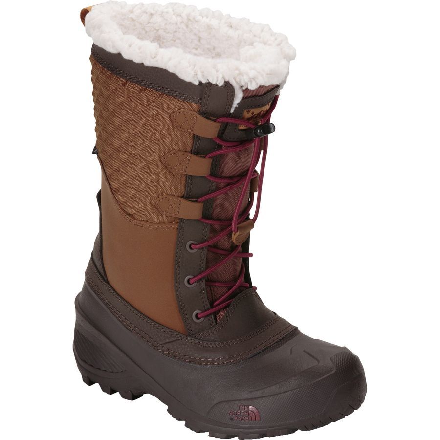 northface shellista 3