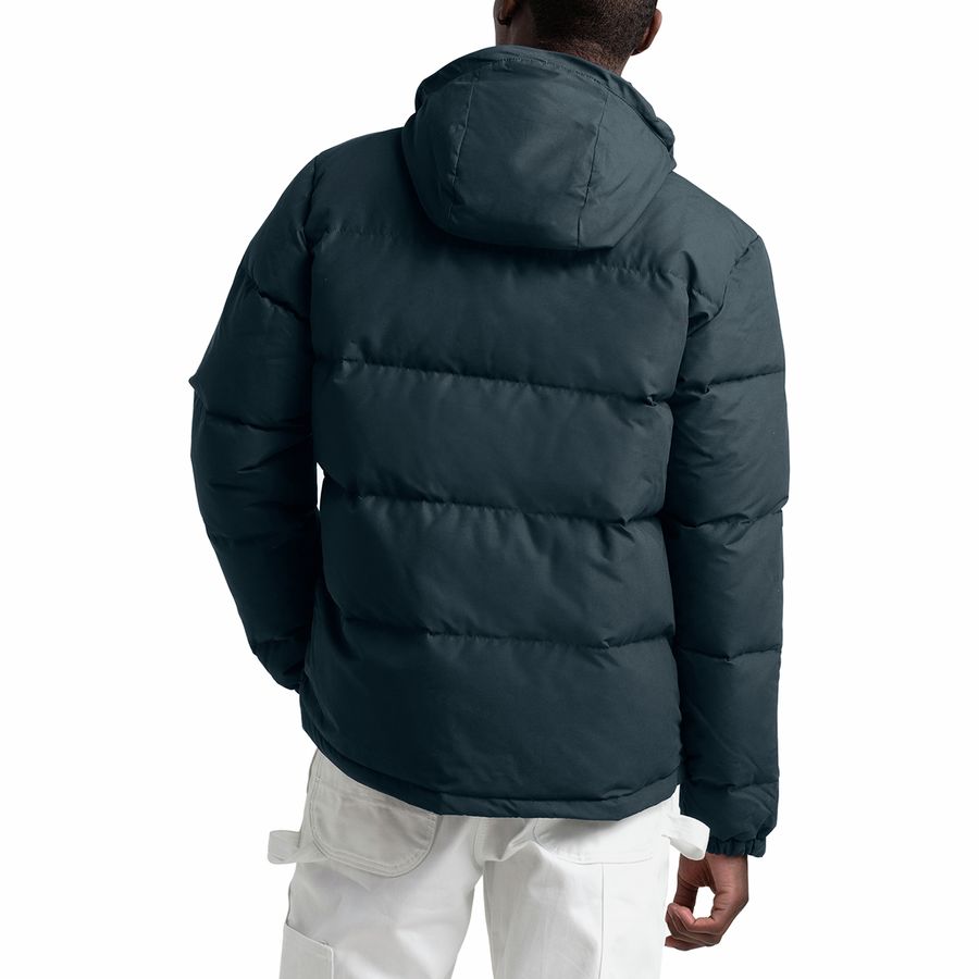 The North Face Down Sierra 3.0 Jacket - Men's | Backcountry.com