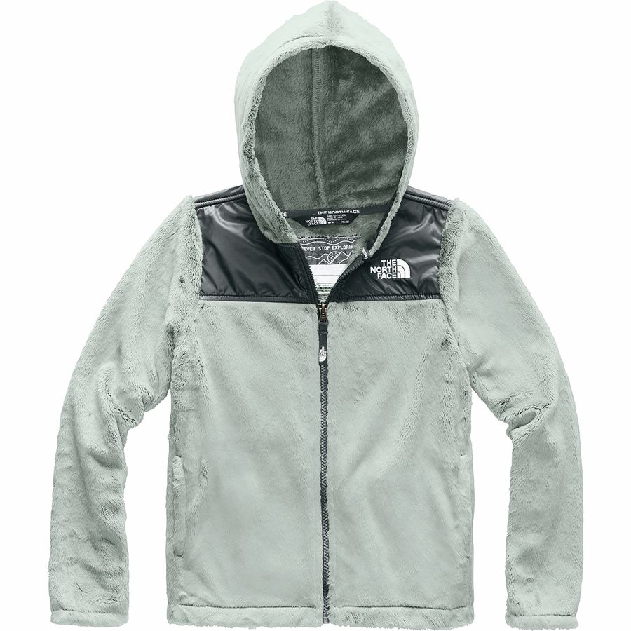 The North Face Oso Hooded Fleece Jacket - Girls' | Backcountry.com