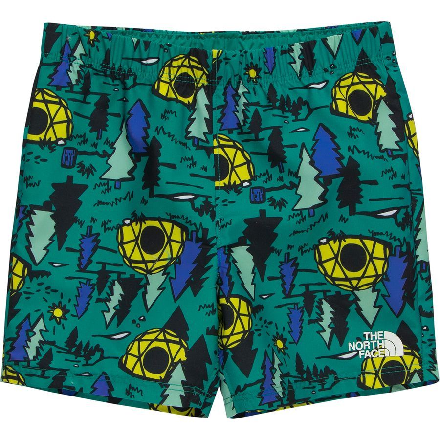 boys north face swim shorts