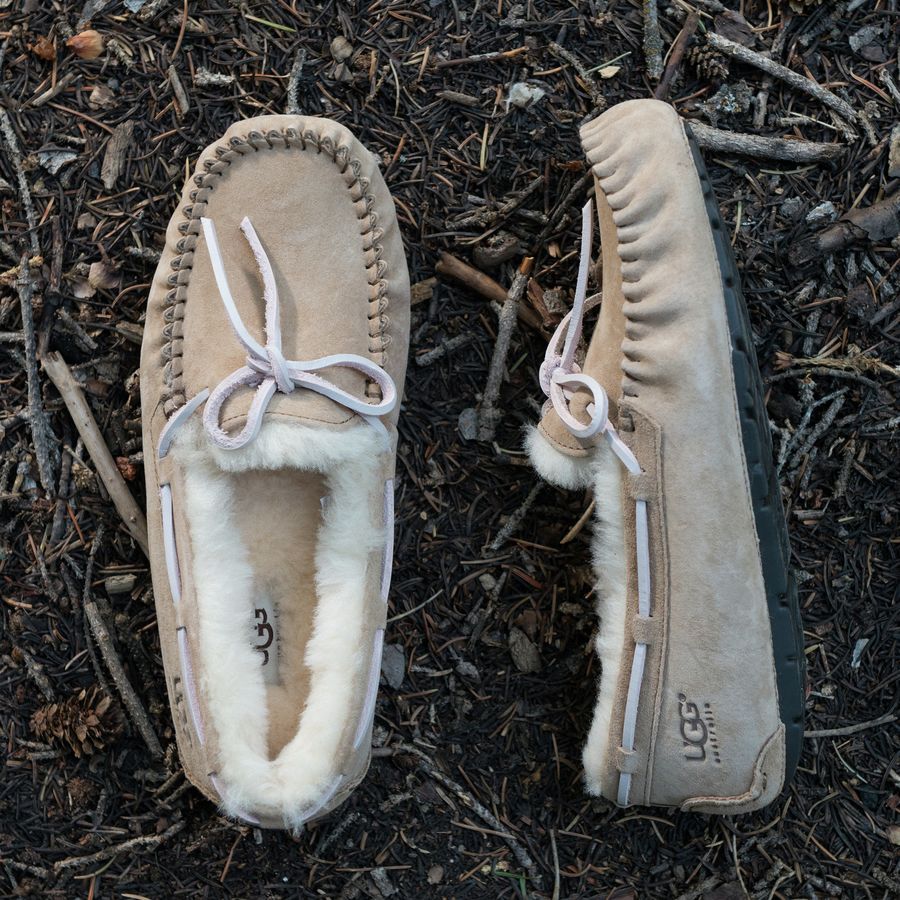 UGG Dakota Slipper Women's