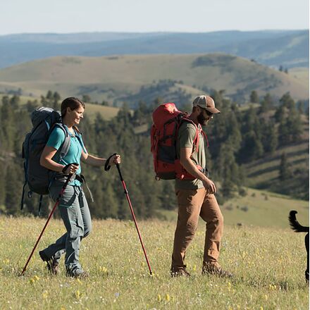 ALPS Mountaineering - Conquest Trekking Poles