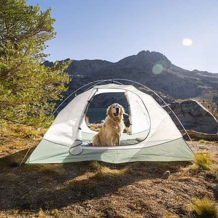 ALPS Mountaineering - Felis 4 Tent
