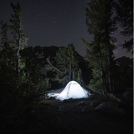 ALPS Mountaineering - Felis 4 Tent