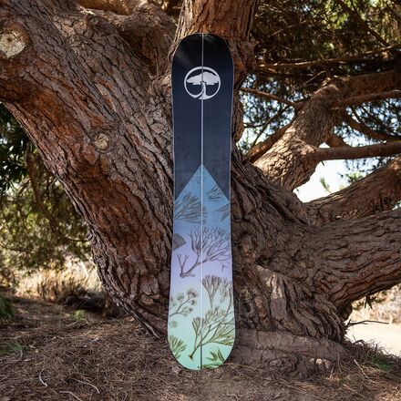 Arbor - Veda Camber Splitboard - 2023 - Women's