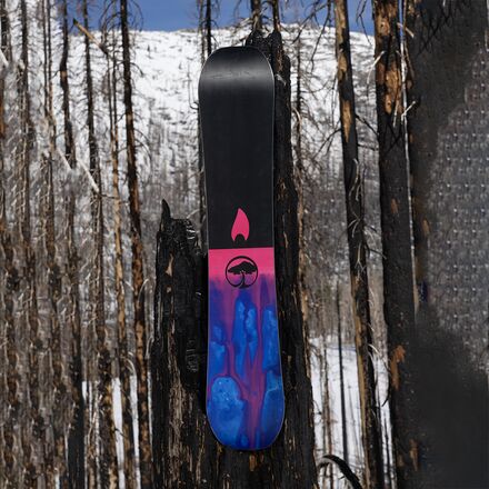 Arbor - Rain Snowboard - 2026 - Men's