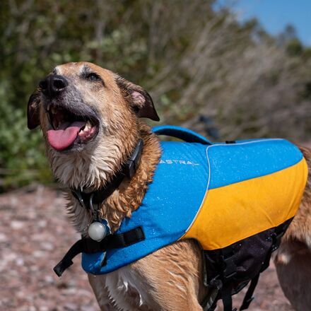 Astral - Bird Dog Life Jacket