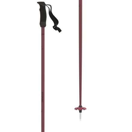 Cloud Ski Poles - Women's