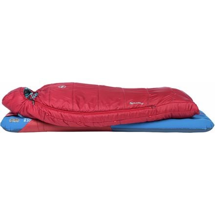 Big Agnes - Duster Sleeping Bag: 15Fs Synthetic - Kids'