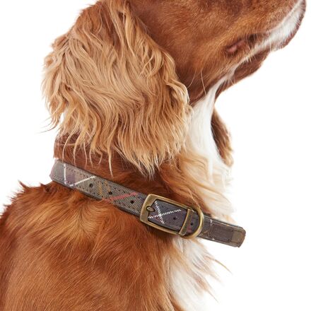 Barbour - Tartan Dog Collar