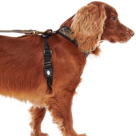 Barbour - Tartan Dog Harness