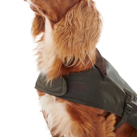 Barbour - Wax Dog Coat