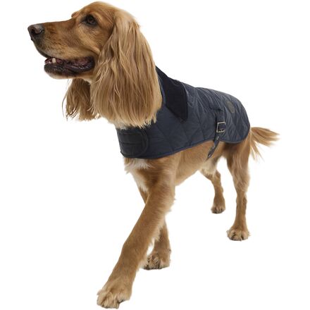 Quilted Dog Coat