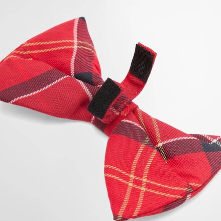 Barbour - Tartan Dog Bow Tie