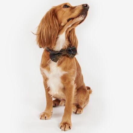Barbour - Tartan Dog Bow Tie