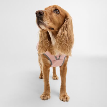 Barbour - Evie Waterproof Dog Coat