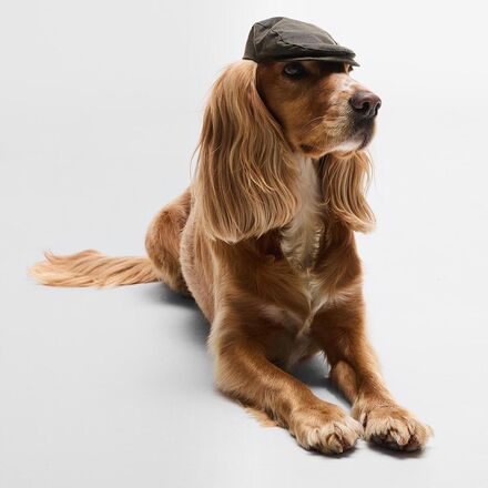 Barbour - Dog Wax Flat Cap