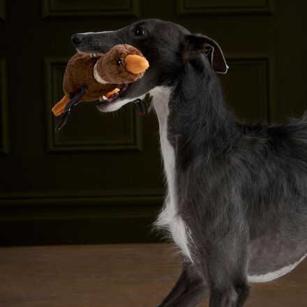 Barbour - Flying Duck Dog Toy