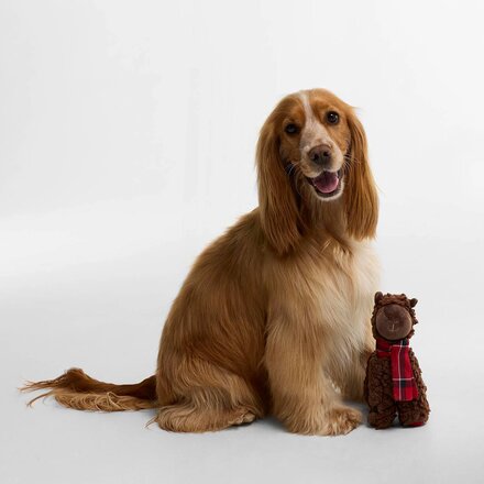 Barbour - Dog Llama Toy