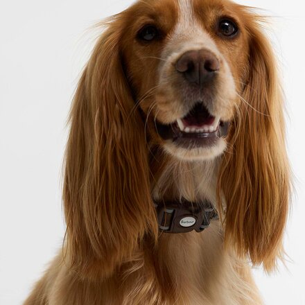 Barbour - Refective Tartan Dog Collar