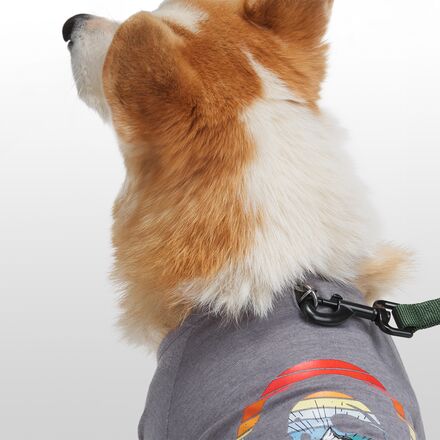 Backcountry - x Petco The Sun Shield Dog T-Shirt