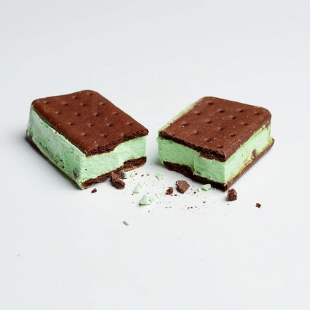 Backpacker's Pantry - Astro Mint Choc. Chip Ice Cream Sandwich