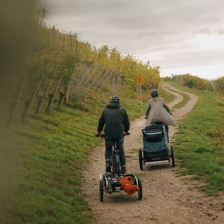 Burley - Bark Ranger Dog Bike Trailer