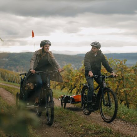 Burley - Bark Ranger Dog Bike Trailer