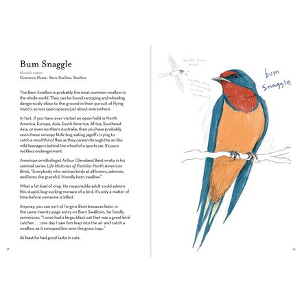 Chronicle Books - Worst Birds Ever