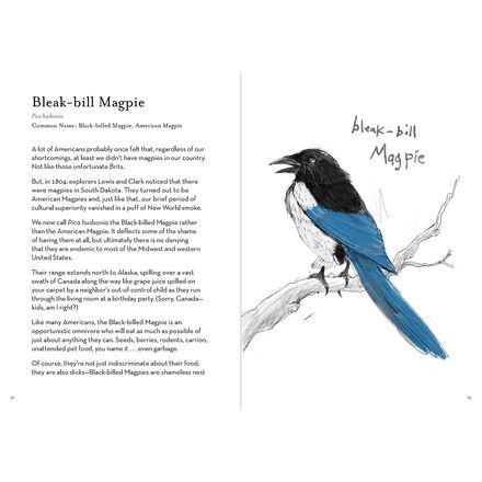 Chronicle Books - Worst Birds Ever