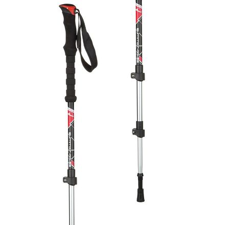 ARVA - Fuji Ski Poles