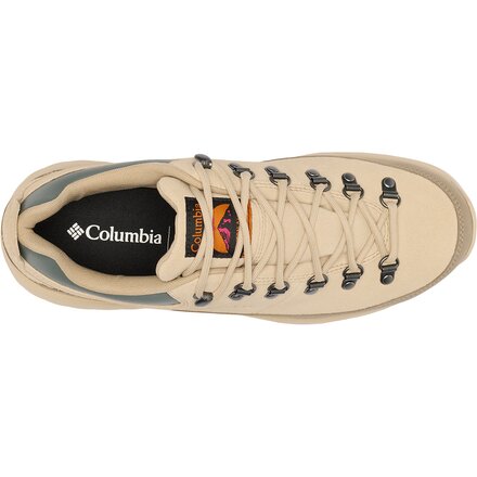 Columbia - Newton Alpine Low Hiking Shoe - Men's