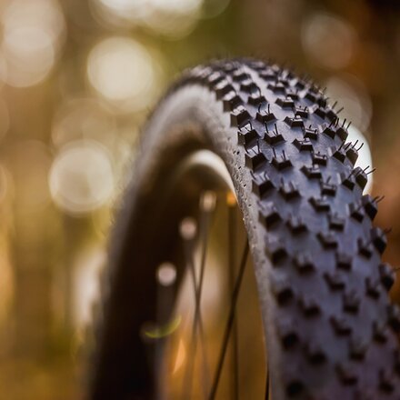 Continental - Cross King Performance Tire - 27.5in
