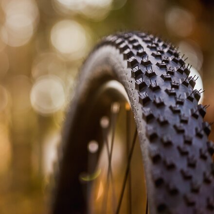 Continental - Cross King ShieldWall Tire - 29in