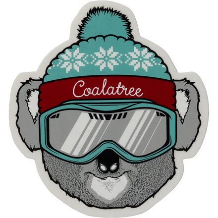 CT Ski Sticker